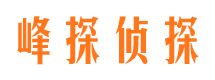 集安寻人公司